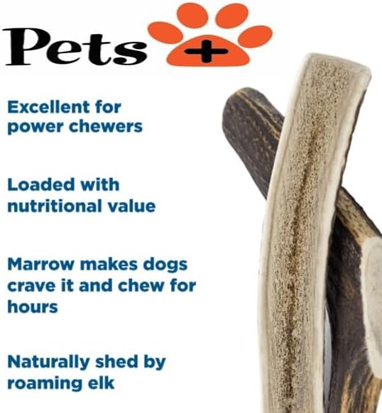 Pets Plus Split Antler Chews for Dogs – 6 Inch, Medium, 2-Pack – Natural Deer Antlers, Long-Lasting Dog Chew Bones, Odor-Free, for Aggressive Chewers & Dental Health