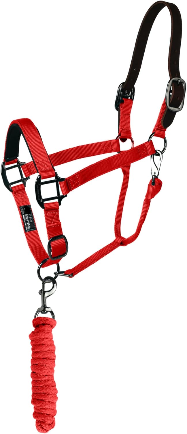 Majestic Ally Leather Halter with Matching Lead Rope for Horses – Leather Breakaway Crown - Adjustable Chin Strap – Rolled Throat Latch – Padded Noseband – Full (Red, Full)