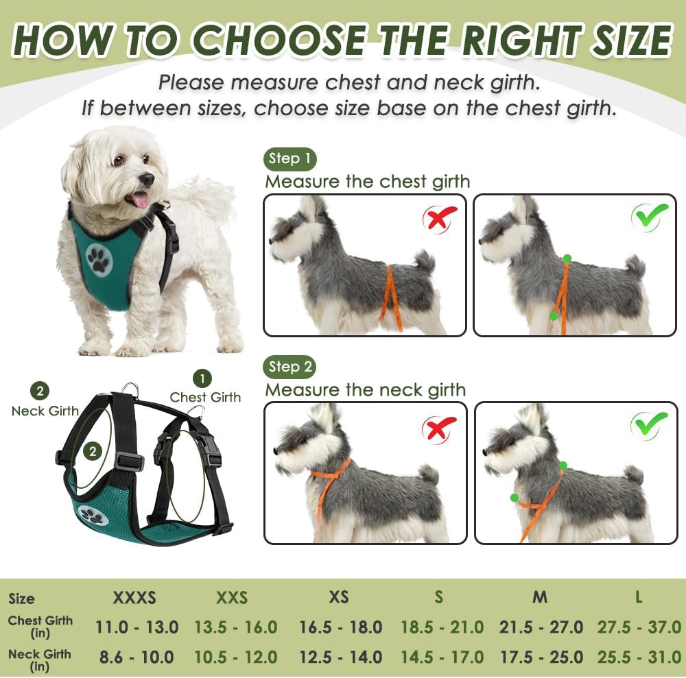 SlowTon Dog Seat Belt Harness for Car, Dog Car Harness Adjustable Mesh Breathable & Dog Seatbelt Safety Tether with Elastic Bungee for Small Medium Large Pets(Green, Double Clip, XS)