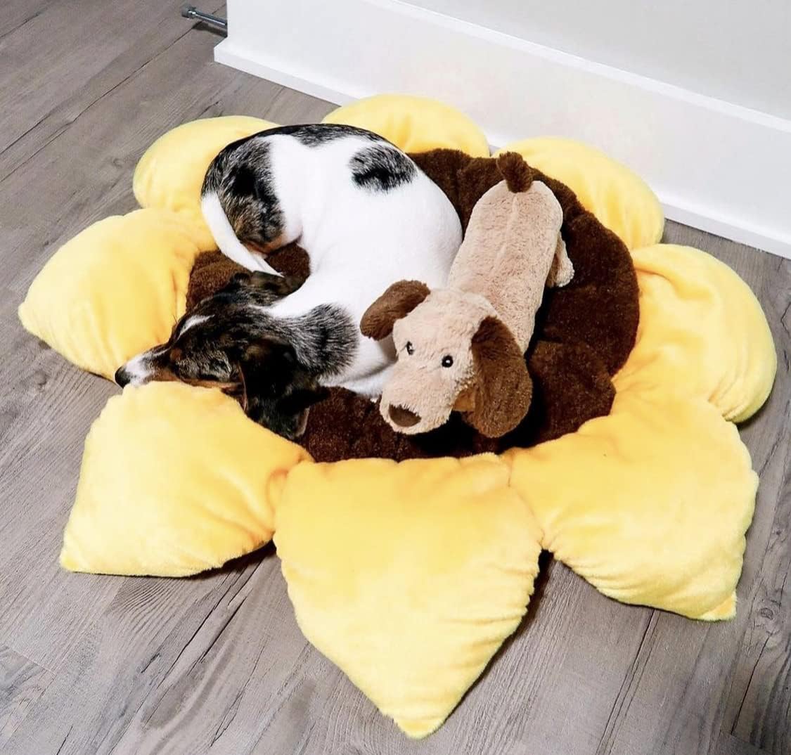 TONBO Soft Plush Small Cute and Cozy Nature Dog Cat Bed, Washer and Dryer Friendly (Sunflower)