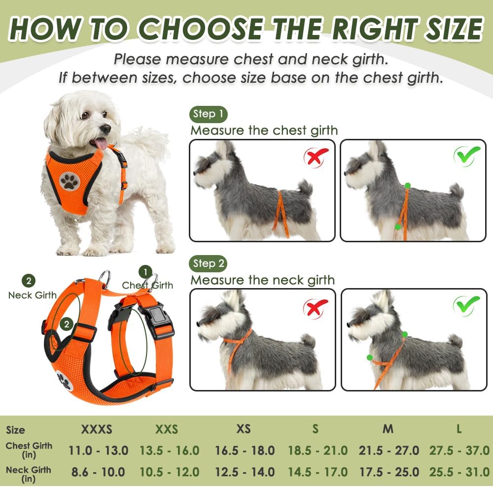 SlowTon Dog Seat Belt Harness for Car, Dog Car Harness Adjustable Mesh Breathable & Dog Seatbelt Safety Tether with Elastic Bungee for Small Medium Large Pets(Orange, Double Clip, XXS)