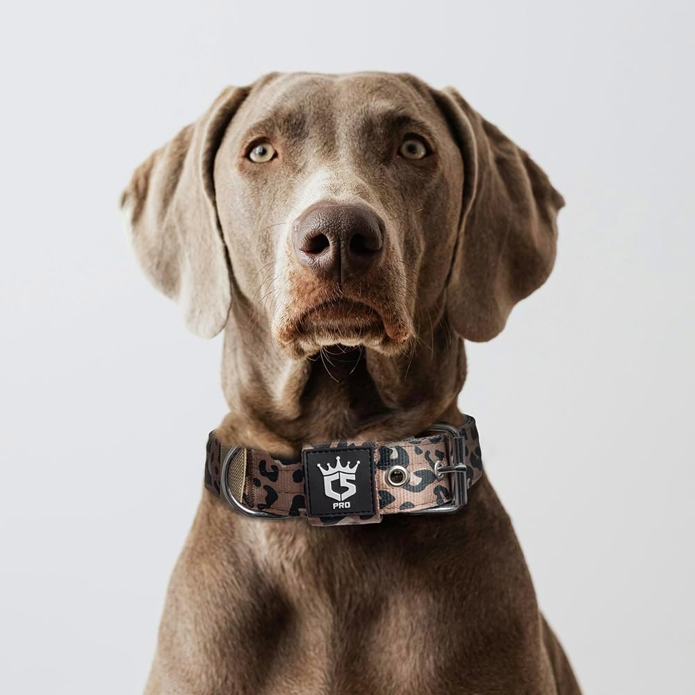 TSPRO Tactical Dog Collar 1.5 Inch Wide Thick Dog Collars with Heavy Duty Metal Buckle, Durable, Strong, Adjustable for Medium to Large Dogs (Leopard Print L)