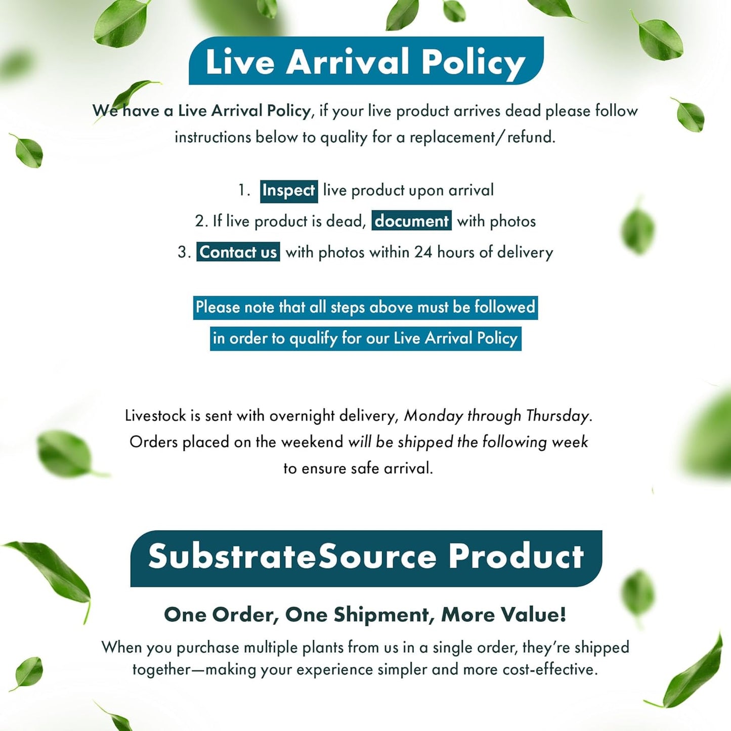 SubstrateSource Live Aquarium Stem Plants - Freshwater Aquatic Plant for Fish Tanks, Aquascaping - (Limnophila Belem, 1 Bunch)