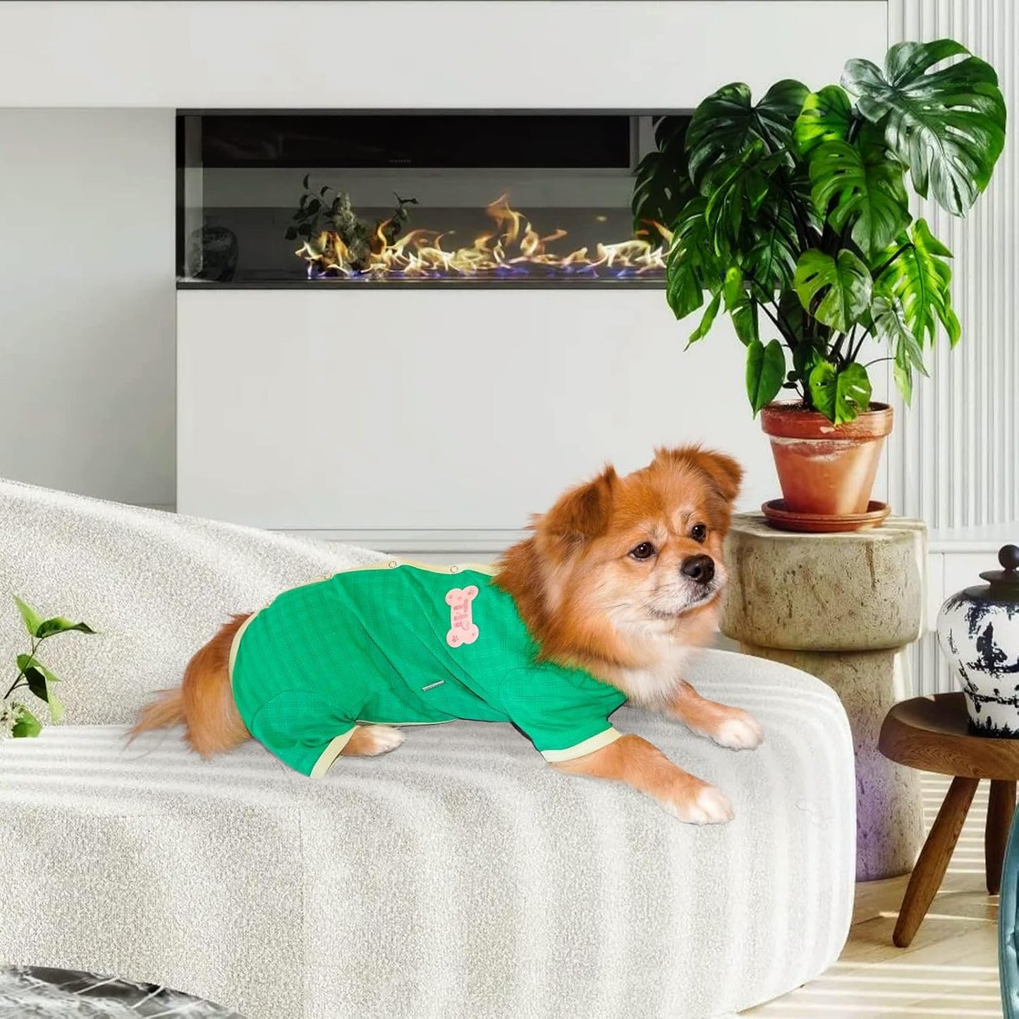 TONY HOBY Dog Pajamas, Dog Recovery Suit After Surgery, Soft Dogs Dogs Jumpsuit Shirts for Small Medium Dogs (Green, Boy, XL)