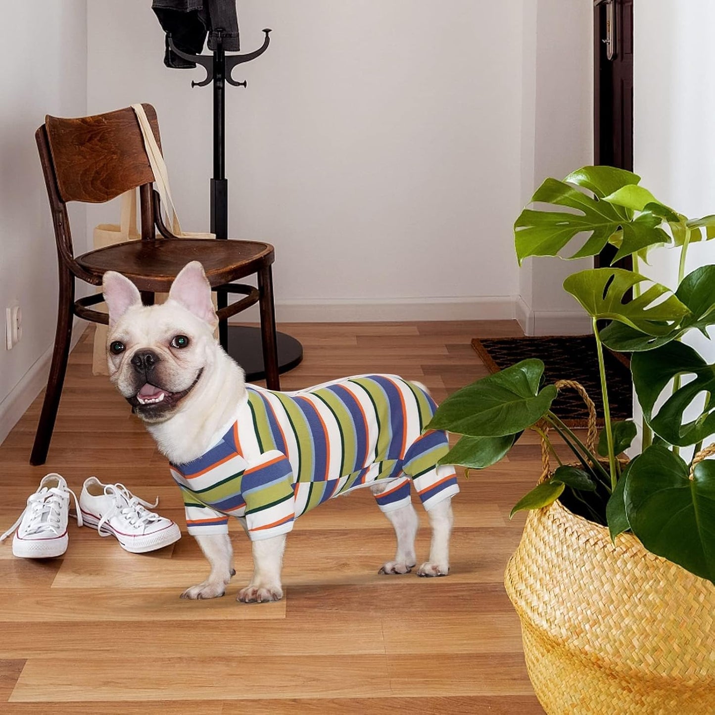 TONY HOBY Dog Pajamas, Dog Jumpsuit, Colorful Dogs Shirt, Dogs Surgery Recovery Suit for Small Medium Breeds (Blue&White, Boy, L)