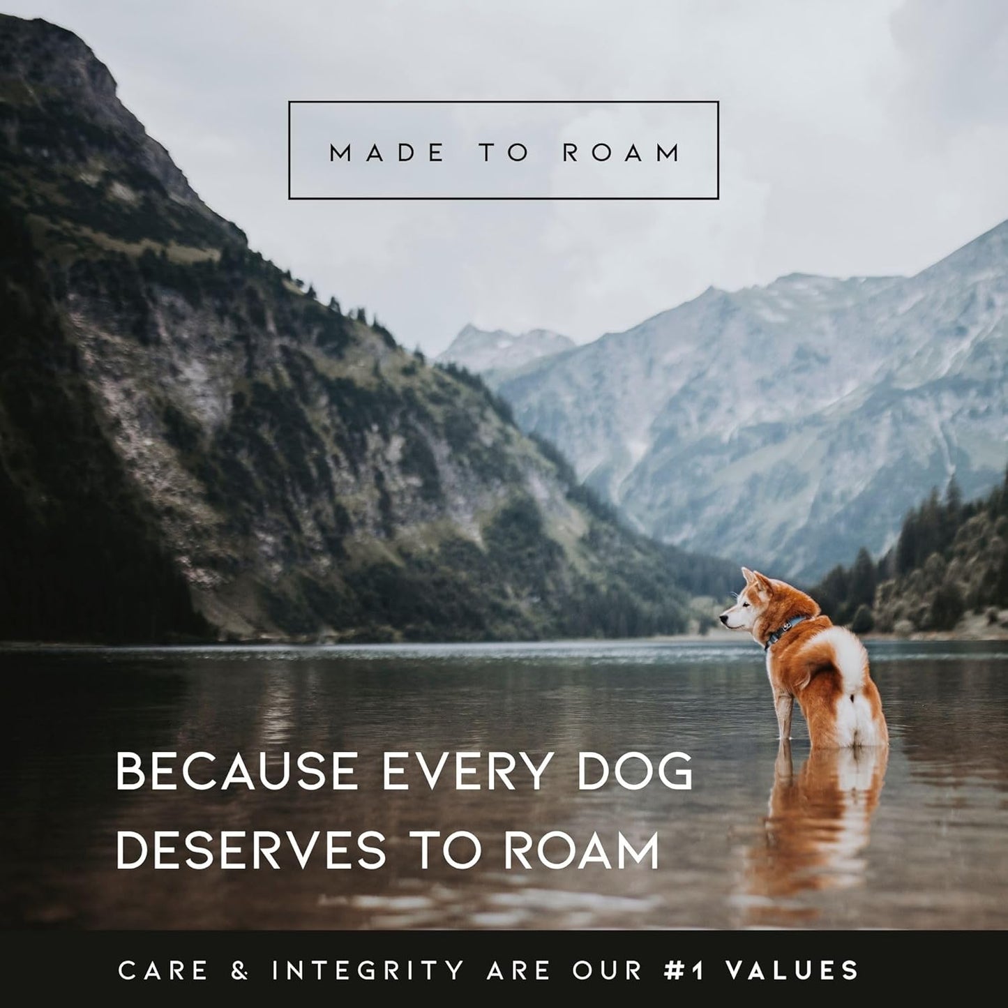 MADE TO ROAM Premium Explorer Harness - Y-Shaped Dog Harness with Adjustable Durable Nylon, Soft Padding, Metal Buckles and Leather Handle for Small, Medium, Large Dogs (Alaska Daybreak, Size 6)