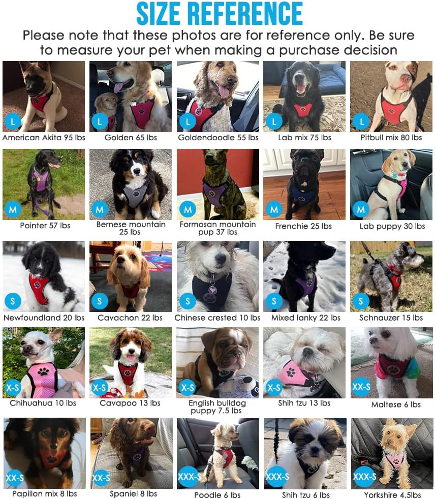 Lukovee Dog Seat Belt - Adjustable Dog Car Harness for Large, Medium & Small Dogs, Soft Padded & Breathable Mesh Dog Seatbelt with Vehicle Connector Strap (Orange, XX-Small)