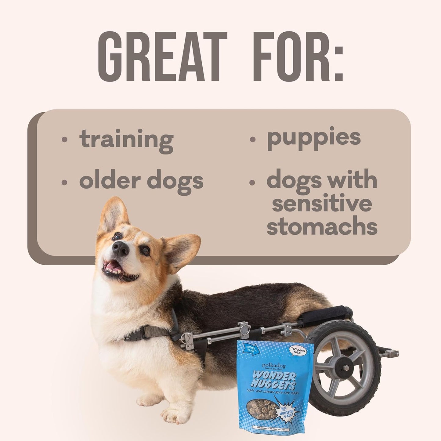 Polkadog Wonder Nuggets – Soft & Chewy Dog Treats with Wild-Caught Whitefish & Kelp – Healthy, Limited Ingredient Training Treats for All Dog Breeds and Ages – Natural, Made in USA – 10 oz