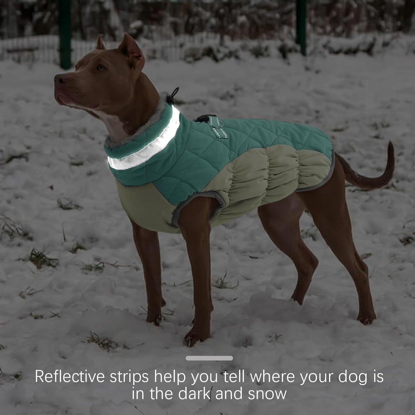 FUAMEY Dog Coat for Small Dogs,Waterproof Dog Winter Jacket with Harness Built in Puppy Cold Weather Coats Reflective Pet Vest with Zipper Warm Fleece Dogs Snowsuit Windproof Mint Green S