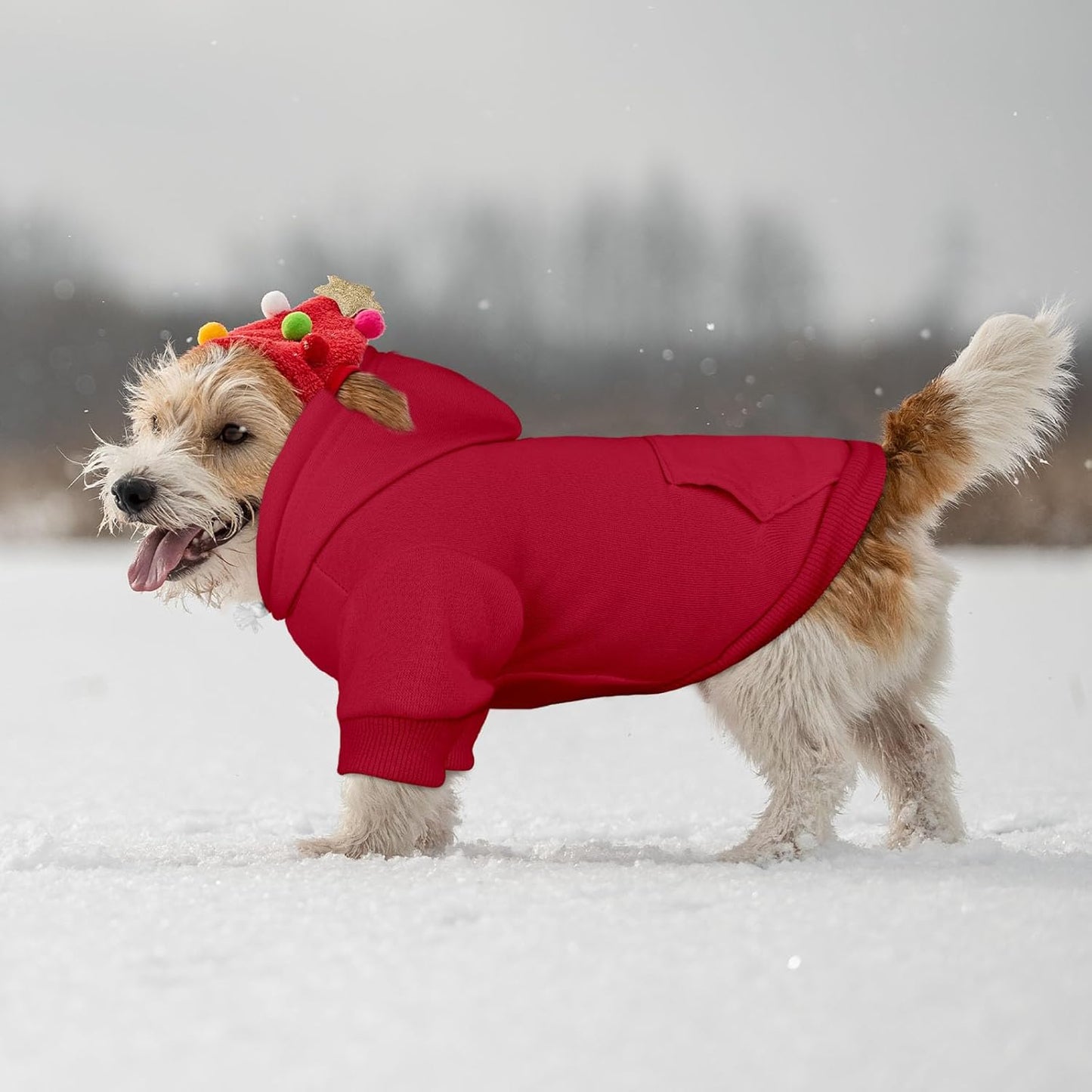 Dog Sweaters for Small Dogs Pet Sweater Solid Soft Brushed Fleece Dog Hoodie Clothes Pet Hoodie Sweatshirt with Pocket(Red-XS)