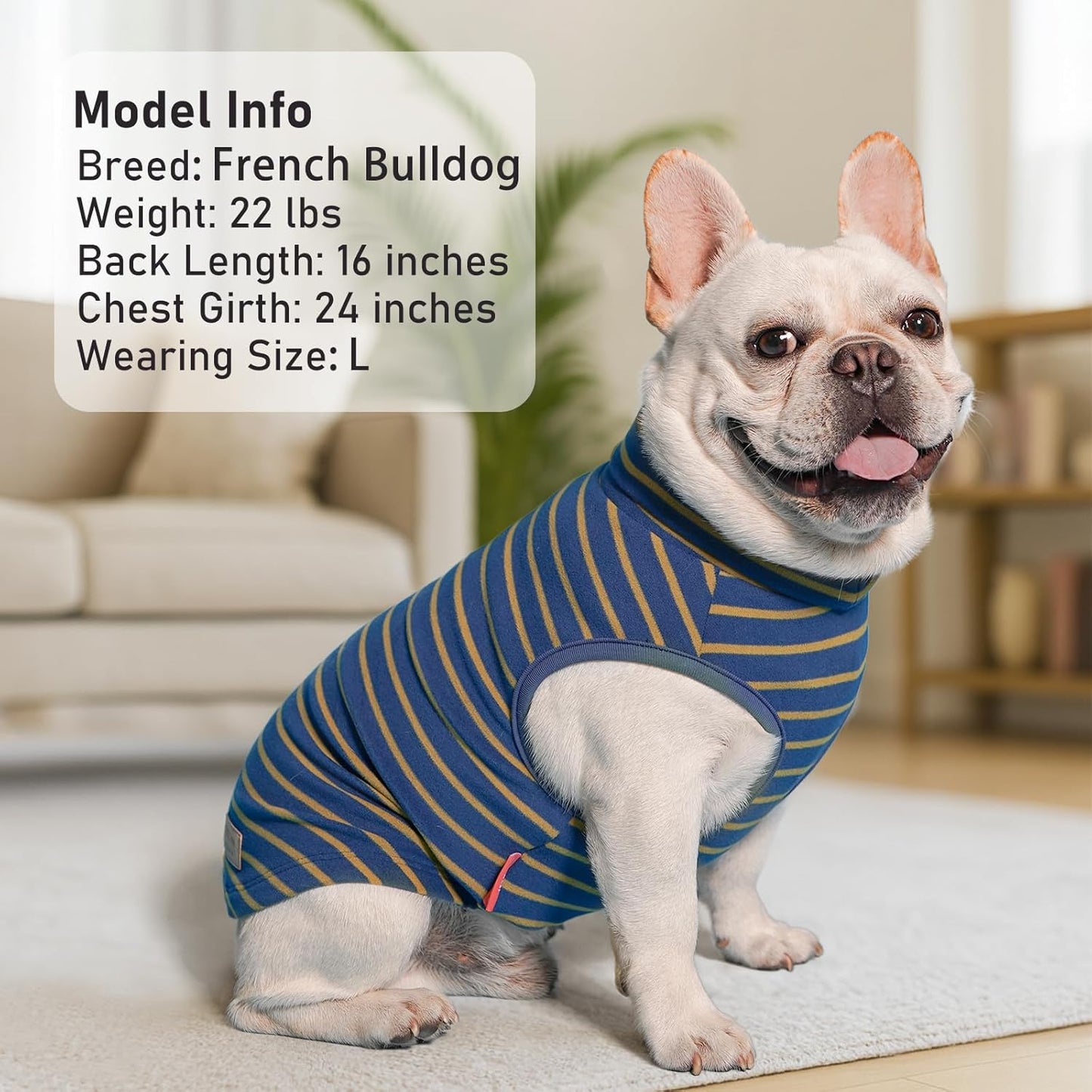 KYEESE 2Pack Dog Sweater Warm Dogs Clothes Pets Sweatshirt Soft Turtleneck Small Pets Sweaters Pet Coats Stretchy Dog Sweaters for Small Dogs Male