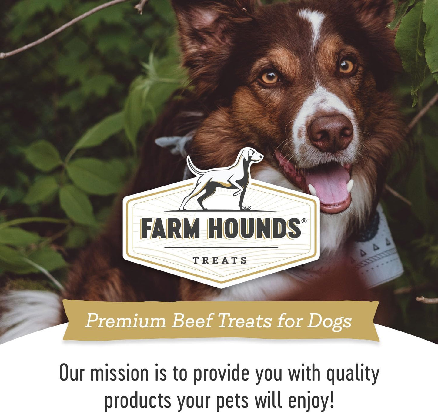 Farm Hounds - Beef Trainers - Premium Natural Beef Jerky for Dogs - Made from 100% Humanely Raised Cattle - Easy-Break - Great for Training & Treats - No Added Fillers - Made in USA - 4.5 oz - 1 Pack
