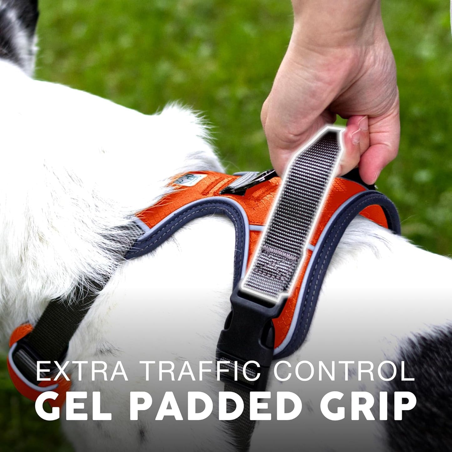 Embark Adventure Dog Harness, Reflective Trim No Pull Dog Harnesses for Small Sized Dogs - Military Grade Nylon, Front Clip with Gel Lined Handle. Soft & Padded Puppy