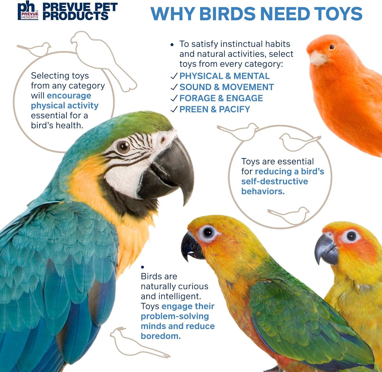 Prevue Pet Products Takeout - Playfuls Forage & Engage Bird Toy 60245