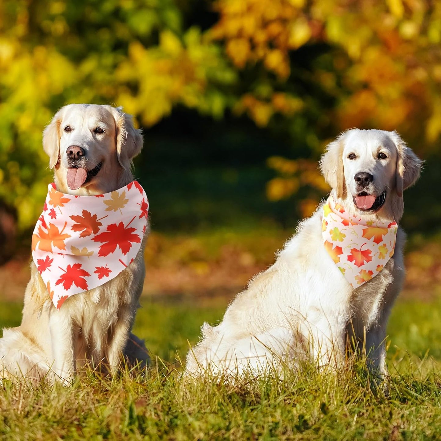 Chunful 100 Pieces Fall Dog Bandanas Bulk Autumn Pet Bandanas with Maple Leaves Patterns Triangle Scarf Bib Kerchief Set for Small Large Dog Thanksgiving Costume Accessories (31.5 x 21.7 x 21.7)