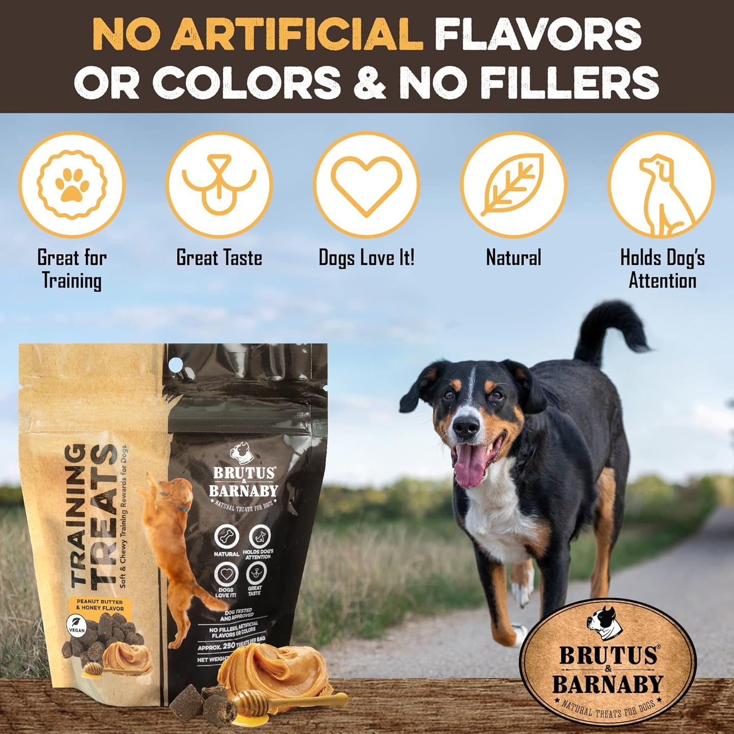 BRUTUS & BARNABY Training Treats for Dogs - Peanut Butter & Honey - All-Natural Healthy Low Calorie Vegetarian Treat - Great to Use for Rewards in Training Your Puppy Or Dog