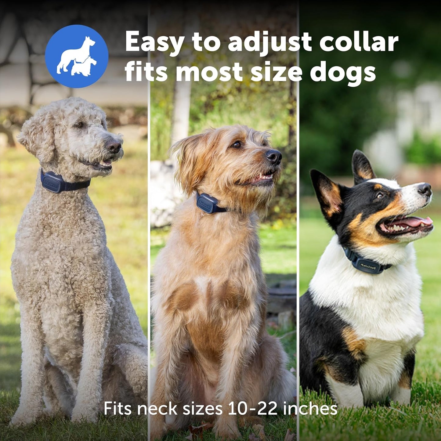 PetSafe Basic Dog Trainer with Remote – Waterproof Training Collar – 300 ft Range – Tone, Vibration and Eight Levels of Static