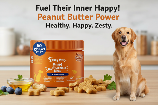 8-in-1 Dog Multivitamin Guide: Complete Health Support for Your Furry Friend