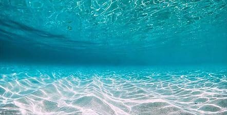 48X18IN Natural Undersea Aquarium Background, Undersea Beach Fish Tank Background, with 8 EVA Double-Sided Tape