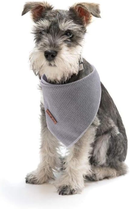 Lionet Paws Dog Bandana for Small Medium Large Dogs, Cat Dogs Kerchief Triangle Bibs Scarf for Girl or Boy