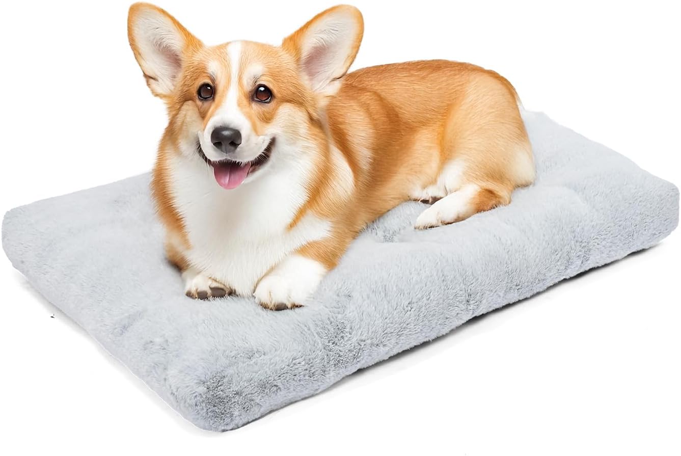 Amazon Basics Medium Dog Bed for Crate, Washable Medium Dog Mat for Pet Kennel, Anti-Slip, Cama para Perros, 36x23x3.5 Inches