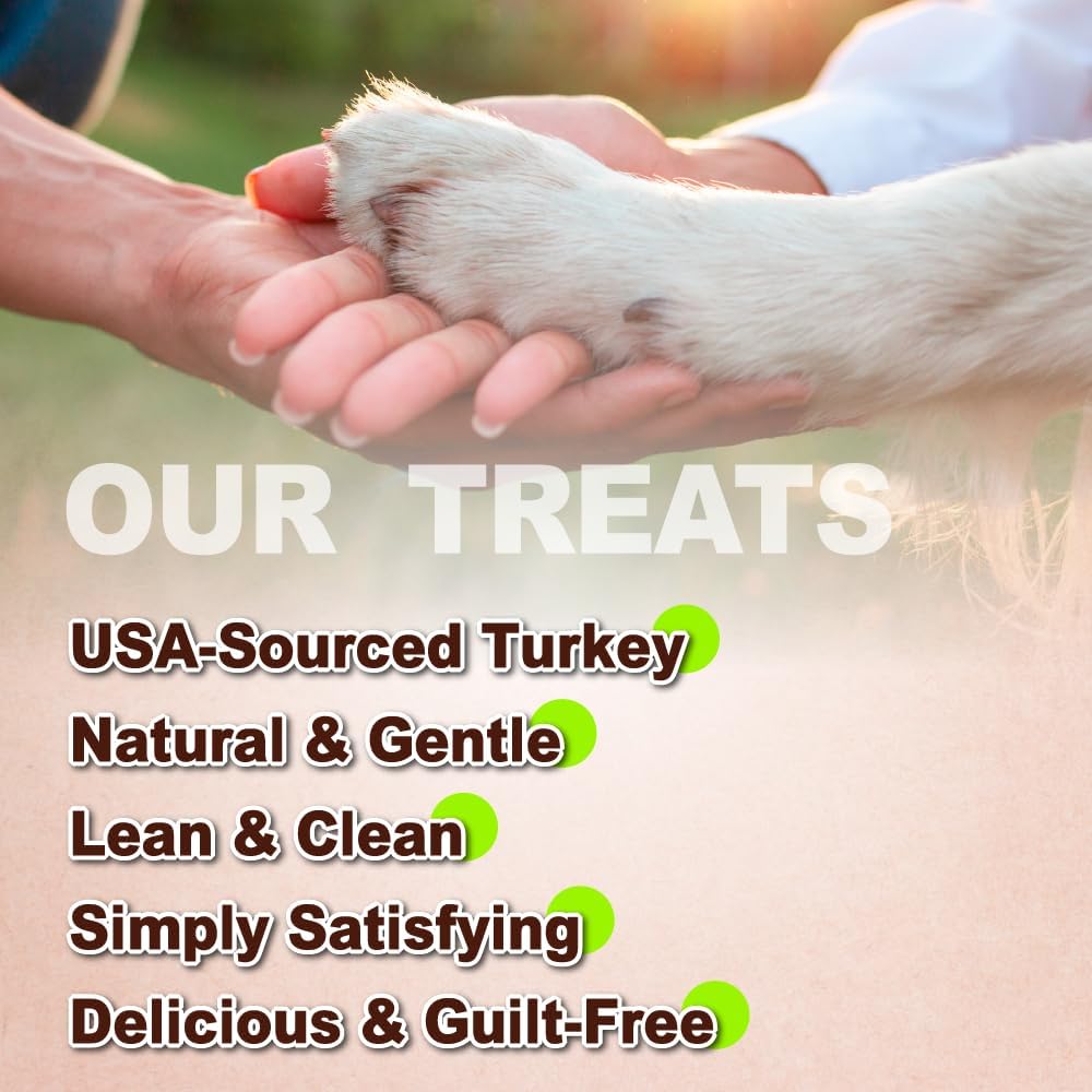 AFreschi Turkey Tendons for Dogs, USA-Sourced, Healthy Dog Treats, Rawhide-Free Puppy Chews, Long Lasting, All Natural, Hypoallergenic Dog Treats, Classic Series, Coil (S), 3 oz Pack