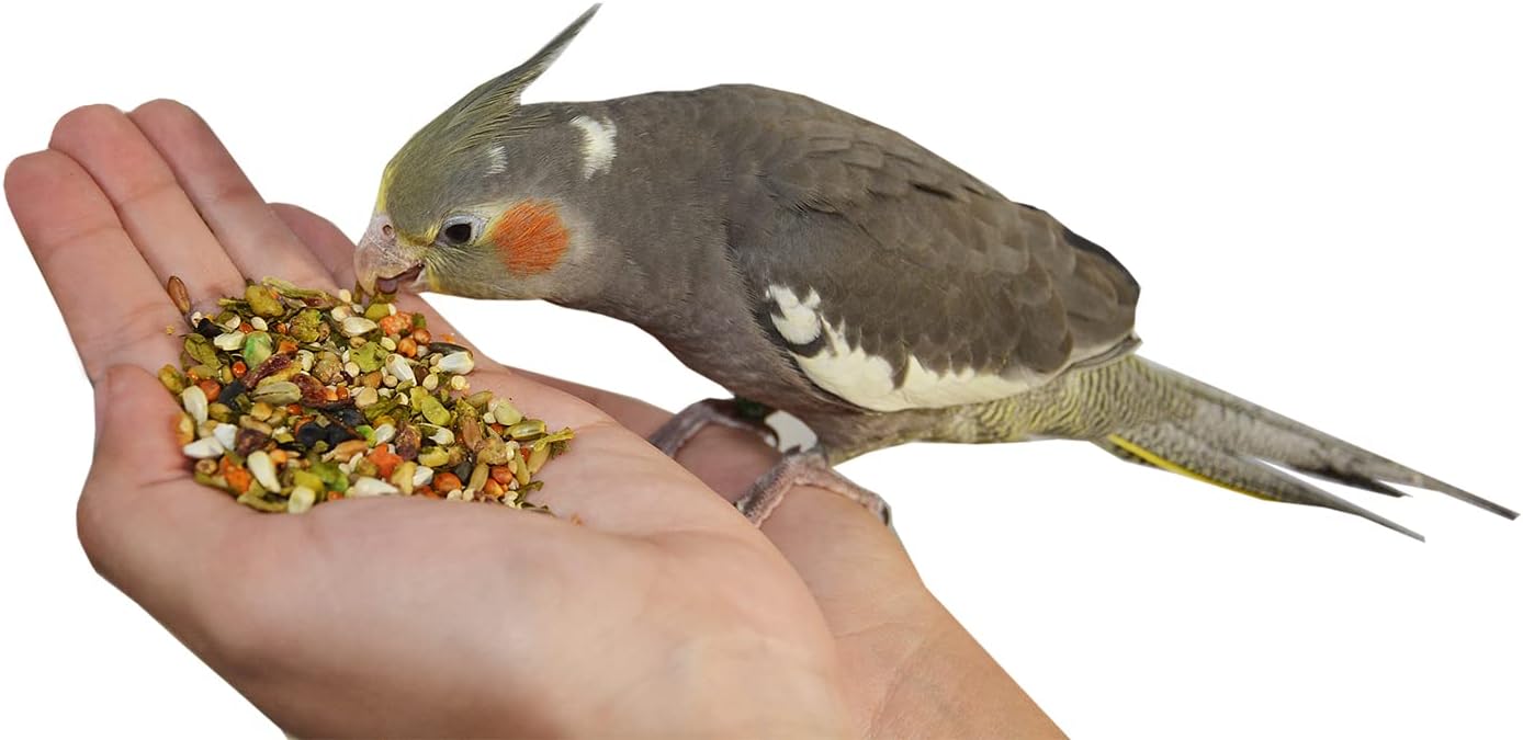 Birds LOVE All Natural Garden Blend Bird Food for Medium Birds - Cockatiels, Green Cheek Conures, Ringneck Parakeets and Small Quakers 4lb