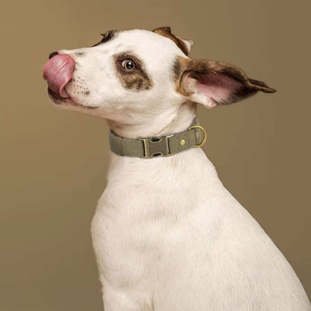 PET ARTIST Dog Collars for Medium Dogs, Soft Padded Premium Nylon Dog Collar with Quick Release Metal Buckle, Durable & Adjustable Pet Collars for Boy Gifts, Green, M (Fit 13-20")