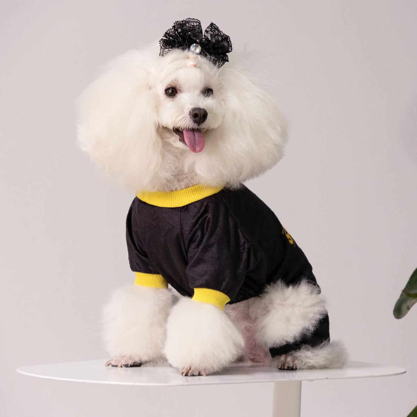 CuteBone Dog Halloween Pajamas Puppy Onesies Small Dogs Soft Pjs Coat Cat Apparel Comfy Pet Christmas Clothes Outfit Doggie Bodysuit P264XL