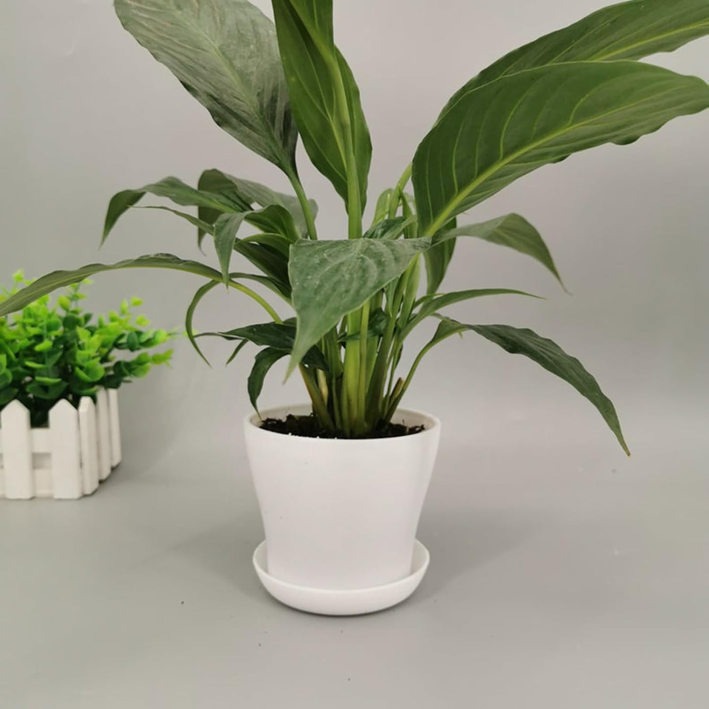 50 Pack 4 Inch Plant Pots Bulk Small Plastic Planters Pots with Drainage Holes Flower Pot for Succulent, Cactus, Herb, African Violet (50pcs-White, 4Inches)