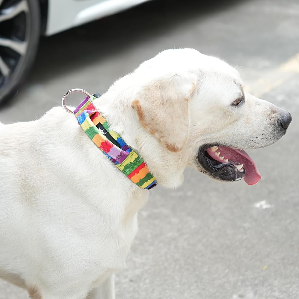 TSPRO Premium Dog Collars Tactical Dog Collar with Handle and Heavy Duty Quick-Release Metal Buckle Durable Thick and Adjustable for Medium to Large Dogs (Gradient Rainbow L)