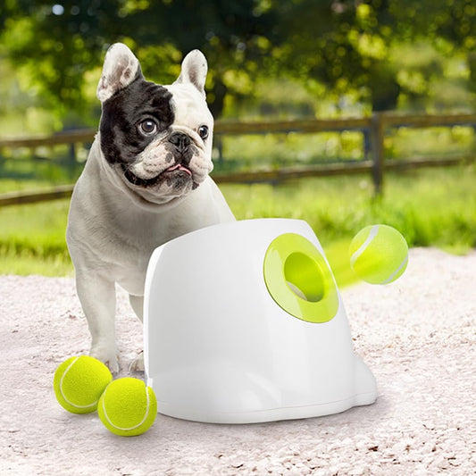 ALL FOR PAWS Original Dog Automatic Ball Launcher for Small and Medium Dogs, Interactive Dog Tennis Ball Throwing Machine, Enrichment Mental Stimulation Toys, Reduce Boredom & Stress