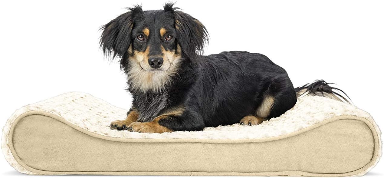 Furhaven Orthopedic Dog Bed for Medium/Small Dogs w/ Removable Washable Cover, For Dogs Up to 23 lbs - Ultra Plush Faux Fur & Suede Luxe Lounger Contour Mattress - Cream, Medium