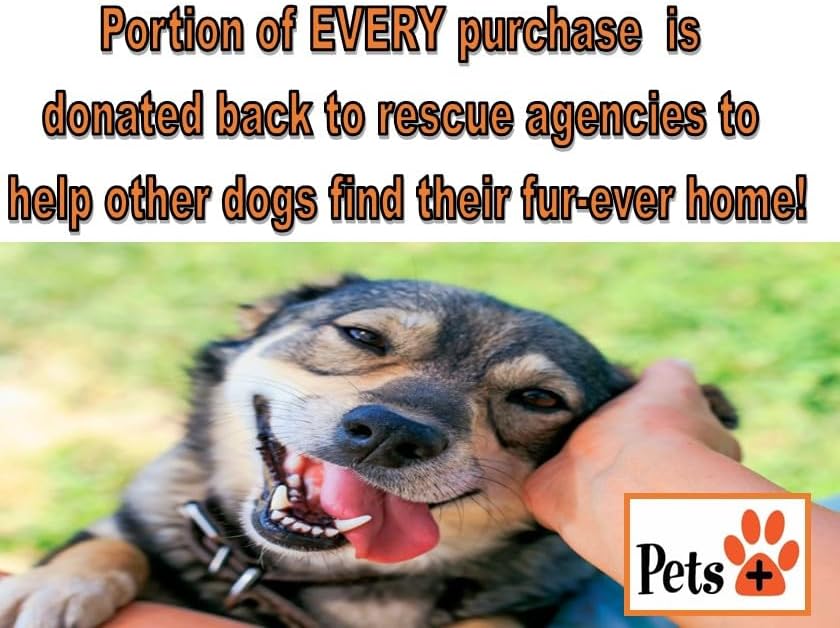 Pets Plus Premium Dog Treats – Lamb Lung Wafers, 8 oz | All-Natural, High-Protein, Grain-Free Dog Treats, Healthy Training Rewards & Crunchy Chews