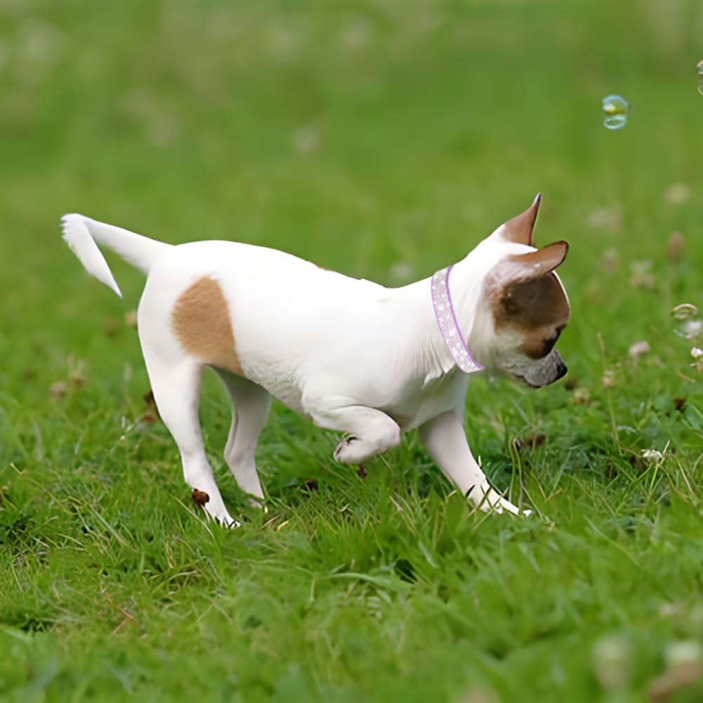 Rhinestone Dog Collar for Small Dogs, Bling Diamond Fancy Crystal Glitter Pretty Jewel Pet Puppy Collars for XXS XS Small Medium Large Breed Girl Dogs Female Cats Kitten, Colorful Black XXSmall