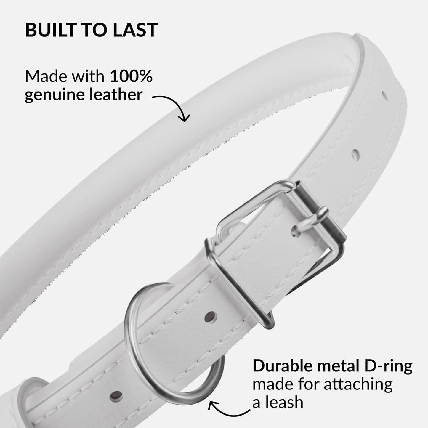 CollarDirect Rolled Leather Dog Collar, Soft Padded Round Puppy Collar, Handmade Genuine Leather Collar Dog Small Large Cat Collars 13 Colors (13-16 Inch, White Smooth)