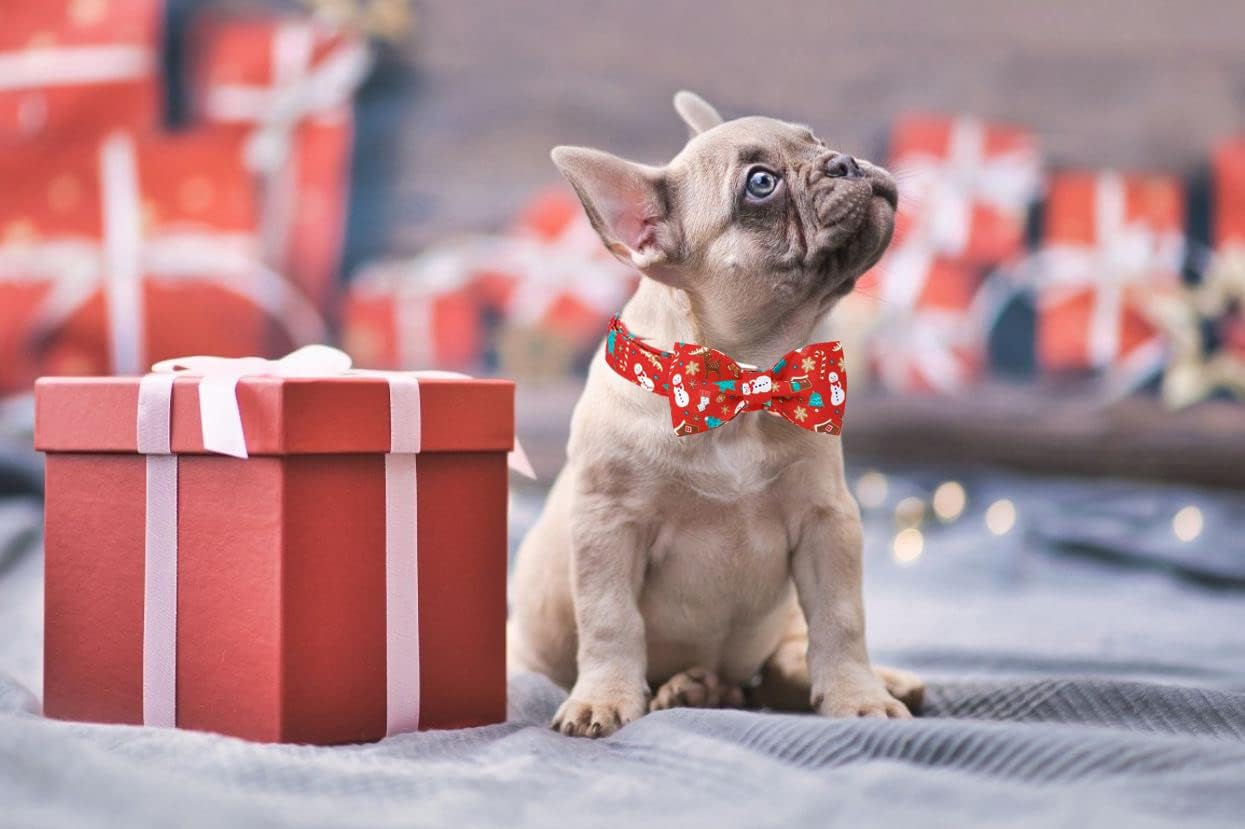 Lionet Paws Christmas Dog Collar with Bowtie, Dog Bowtie Collar with Metal Buckle for Dogs and Cats, Adjustable Comfortable Dog Collar Girl Boy Gift, XS, Neck 8-12 in