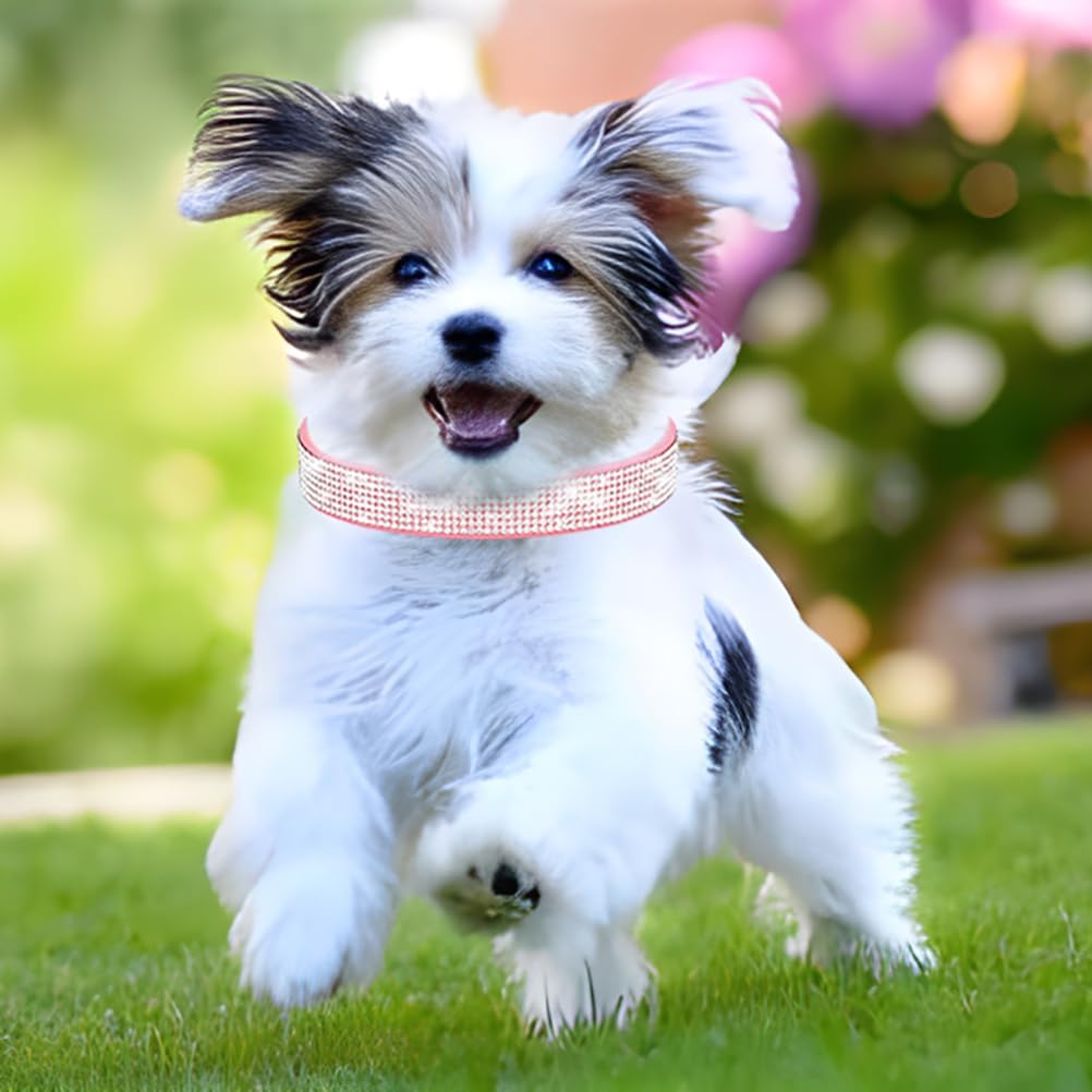 Small Dog Collar with Rhinestone Crystal Diamond Colorful Bling Girl Cat Collars Black XS
