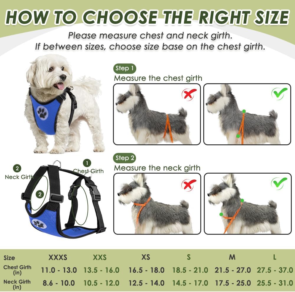 SlowTon Dog Seat Belt Harness for Car, Dog Car Harness Adjustable Mesh Breathable & Dog Seatbelt Safety Tether with Elastic Bungee for Small Medium Large Pets(Blue, Double Clip, XXS)