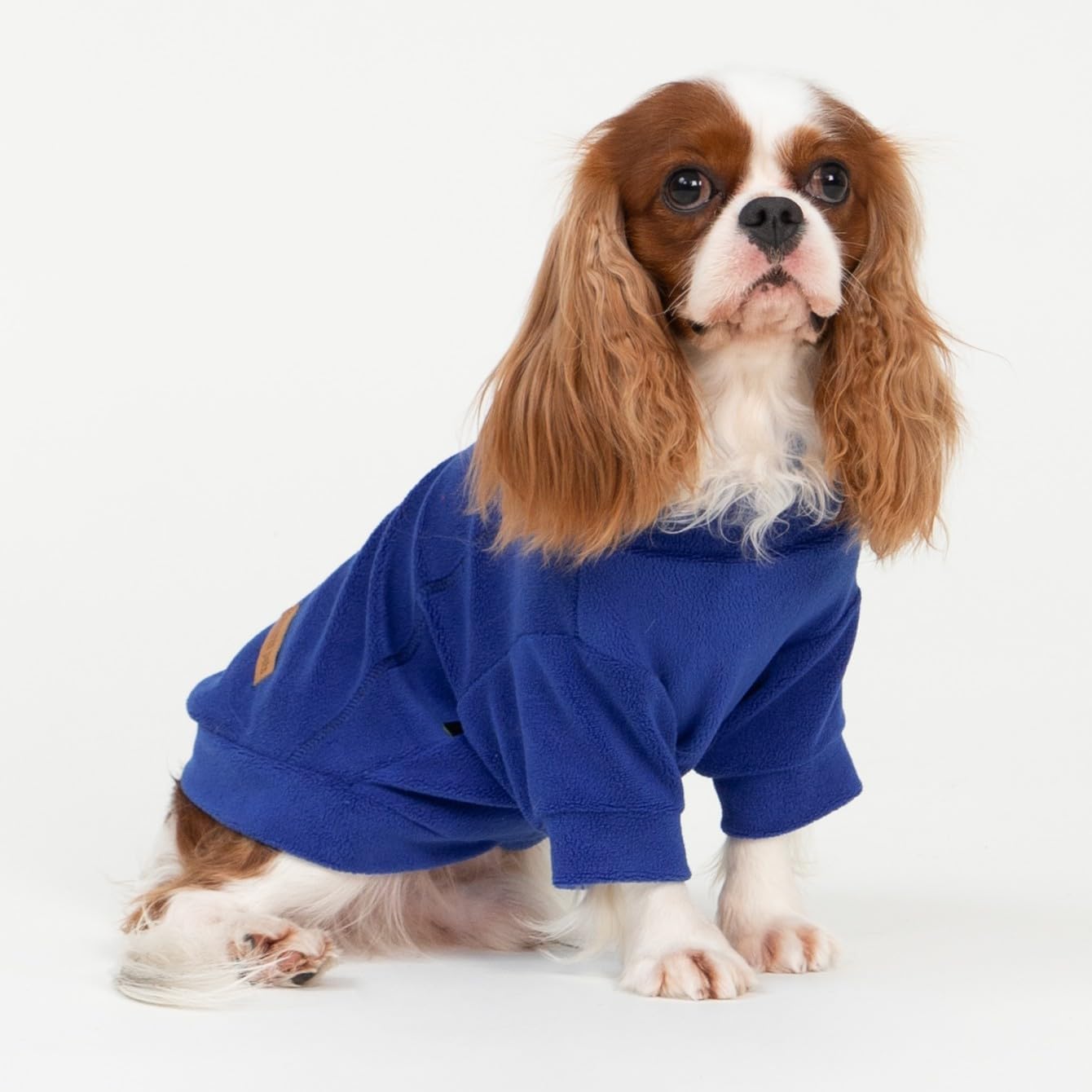 Fitwarm 3 Pack Classic Fleece Dog Sweater, Winter Clothes for Small Dogs Boy Girl, Turtleneck Dog Sweatshirt, Pet Apparel, Orange Red, Royal Blue, Neon Yellow, Medium