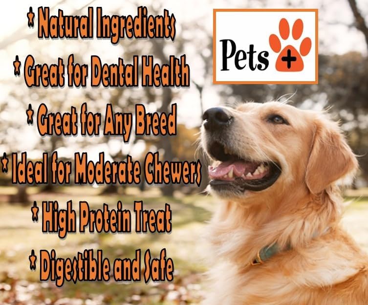 Pets Plus Premium Dog Treats – Pig Ears, 4 Pack | All-Natural, High-Protein Chews for Dogs, Long-Lasting Treats for Dental Health, Training & Boredom Relief