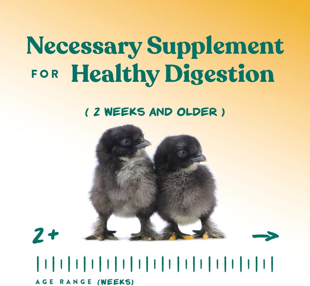 Manna Pro Chick Grit Digestive Supplement for Young Growing Poultry & Bantam Breeds, No Artificial Ingredients or Preservatives, Natural Supplement with Insoluble Crushed Granite, 5 lbs
