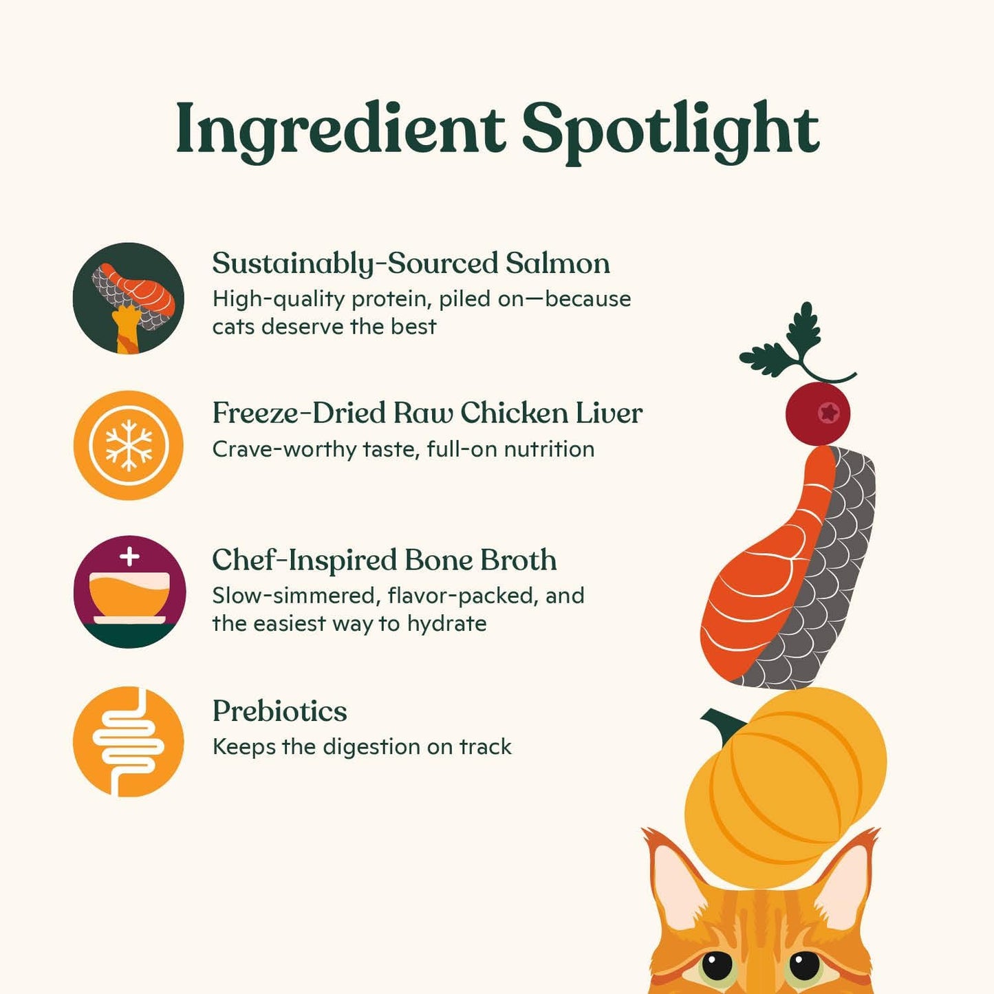 Made by Nacho Dry Cat Kibble 4lb Bag, High Protein Premium Cat Food with Freeze Dried Pieces, Sustainably-Caught Salmon, Whitefish & Pumpkin, Limited Ingredients, Single Bag