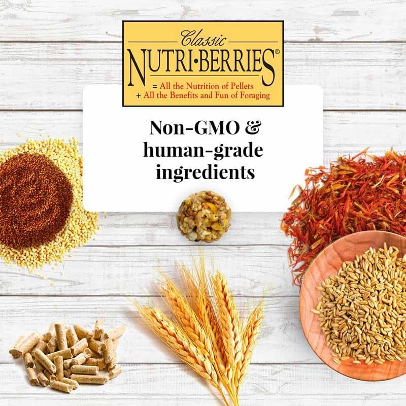 LAFEBER'S Classic Nutri-Berries Pet Bird Food, Made with Non-GMO and Human-Grade Ingredients, for Parrots, 14 lb