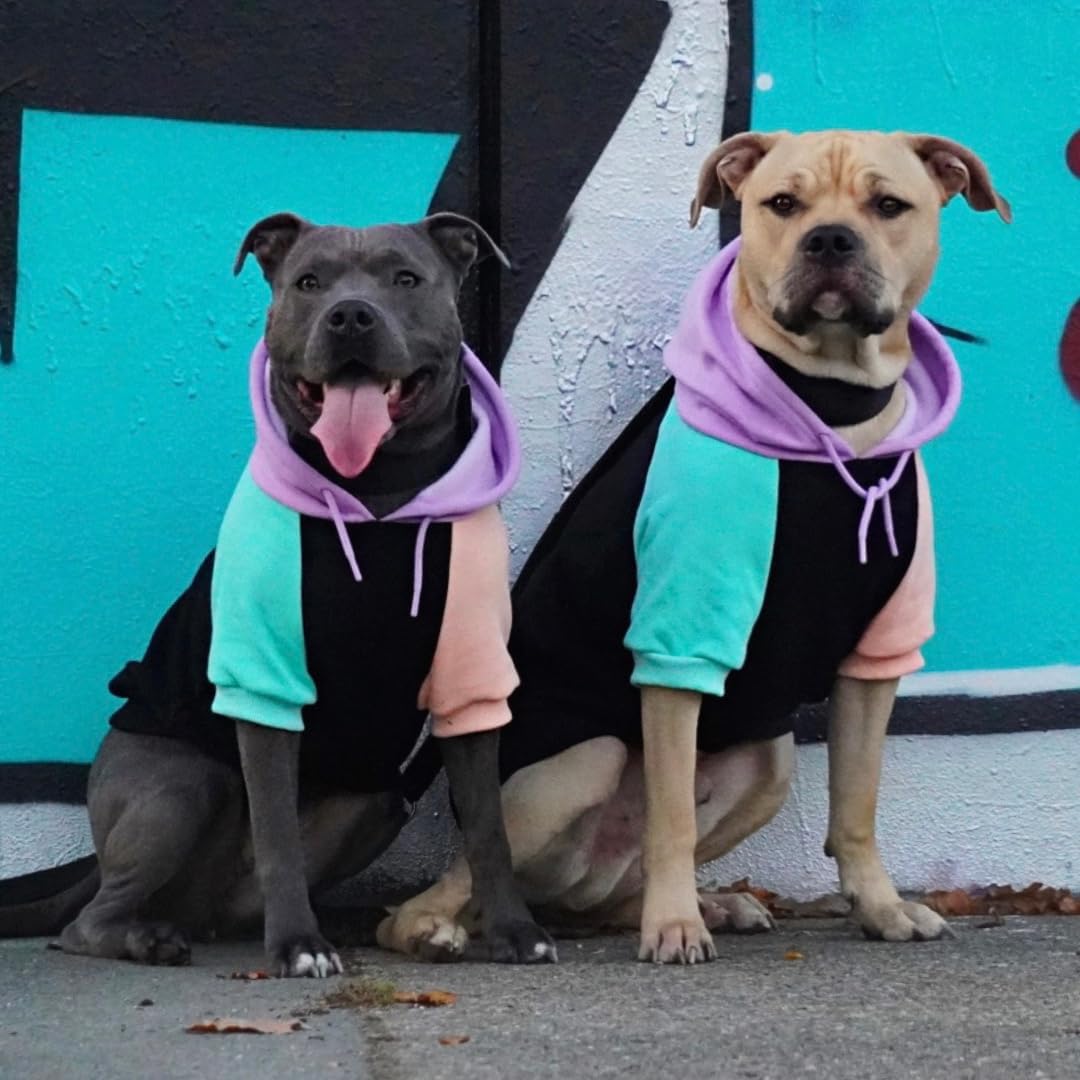 Spark Paws Dog Hoodie – Premium Dog Sweater for Small, Medium, and Large Dogs | Warm Outfits for French Bulldogs, Pitbull, Puppy, Winter Jacket Alternative - Cyber Punk - L