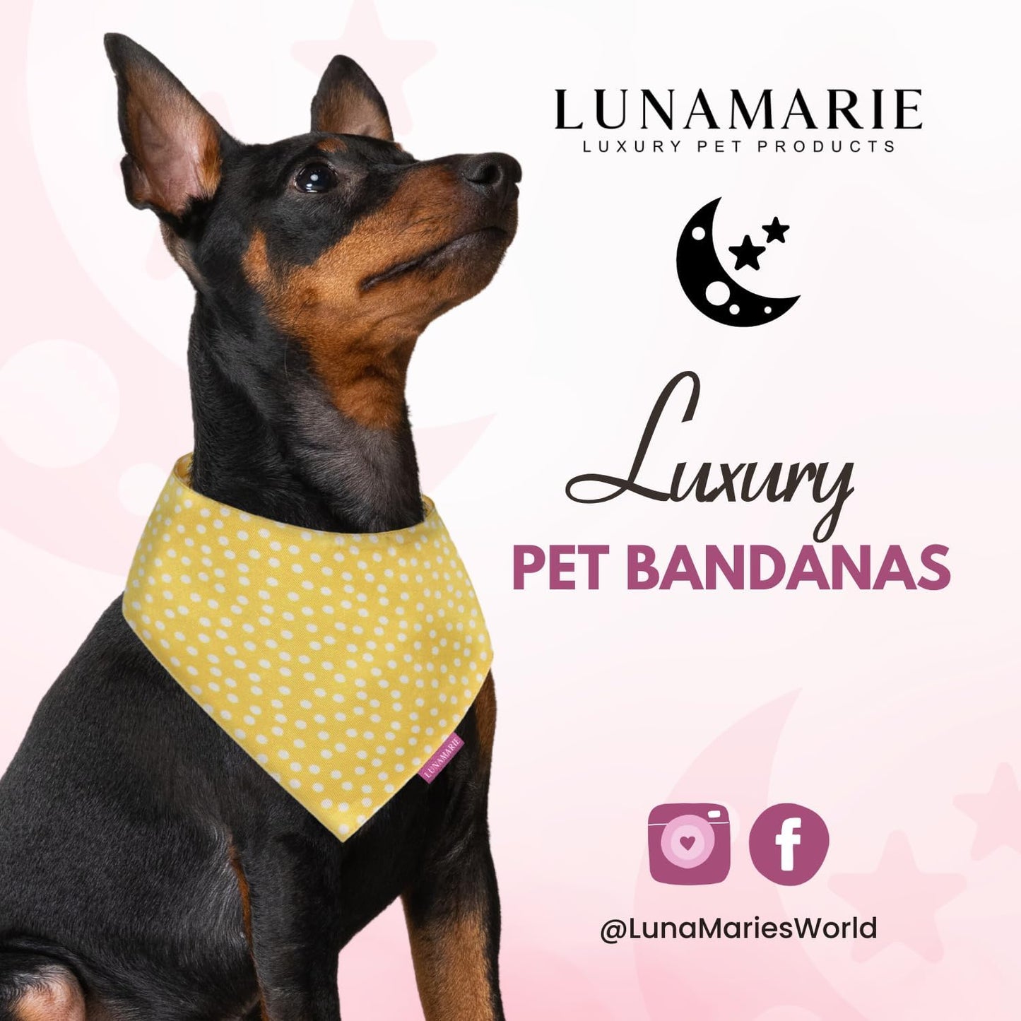 LunaMarie - Luxury Pet Birthday Bandanas -Premium & Silky Poly Fabric | 100% Handmade | Custom Shape Dual Layered (Sophie, X-Small)