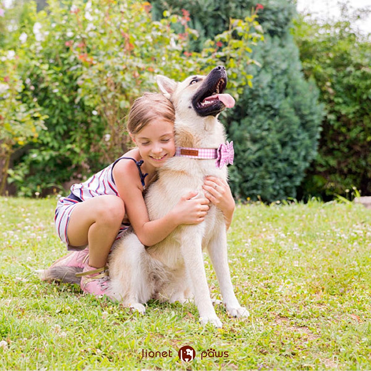 Lionet Paws Dog Collar with Bowtie, Comfortable Adjustable Cute Pink Gingham Bow Tie Collar for Female Dogs Gift, Small, Neck 10-16 inches