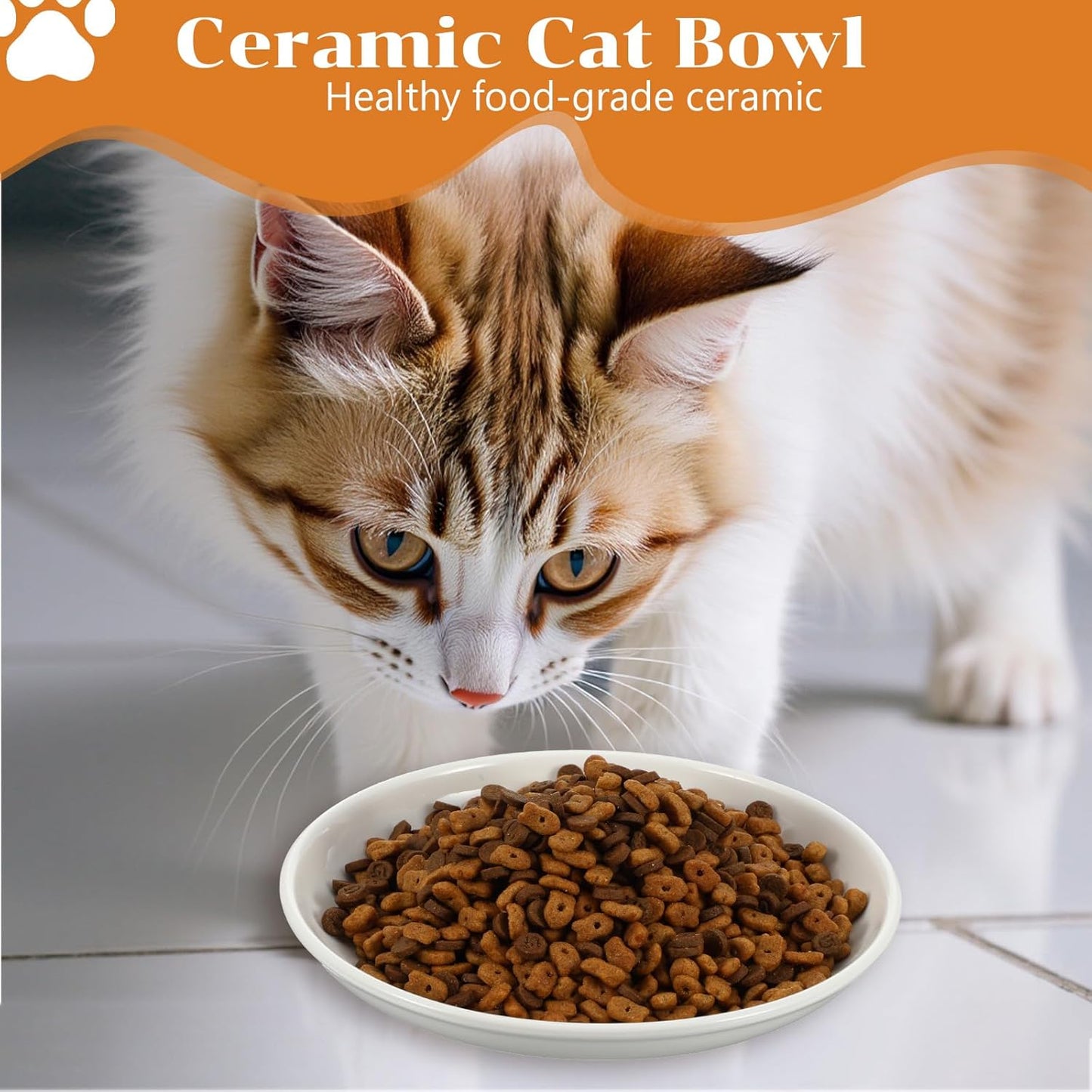 6 Pack Cat Food Bowl, Ceramic Cat Bowls, Anti Whisker Fatigue Cats Bowl Set, 5.9 Inches Shallow Wide Kitten Plates for Food and Water