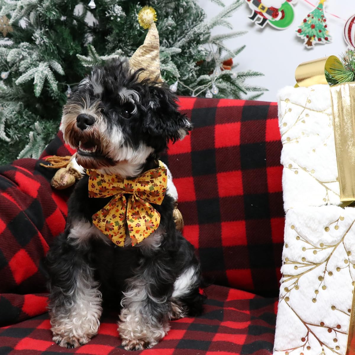 Lionet Paws Thanksgiving Day Dog Collar with Bowtie, Dogs Sailor Bow Collar with Metal Buckle for Dogs, Adjustable Comfortable Dog Collars Girl, M, Neck 13.5-22 in
