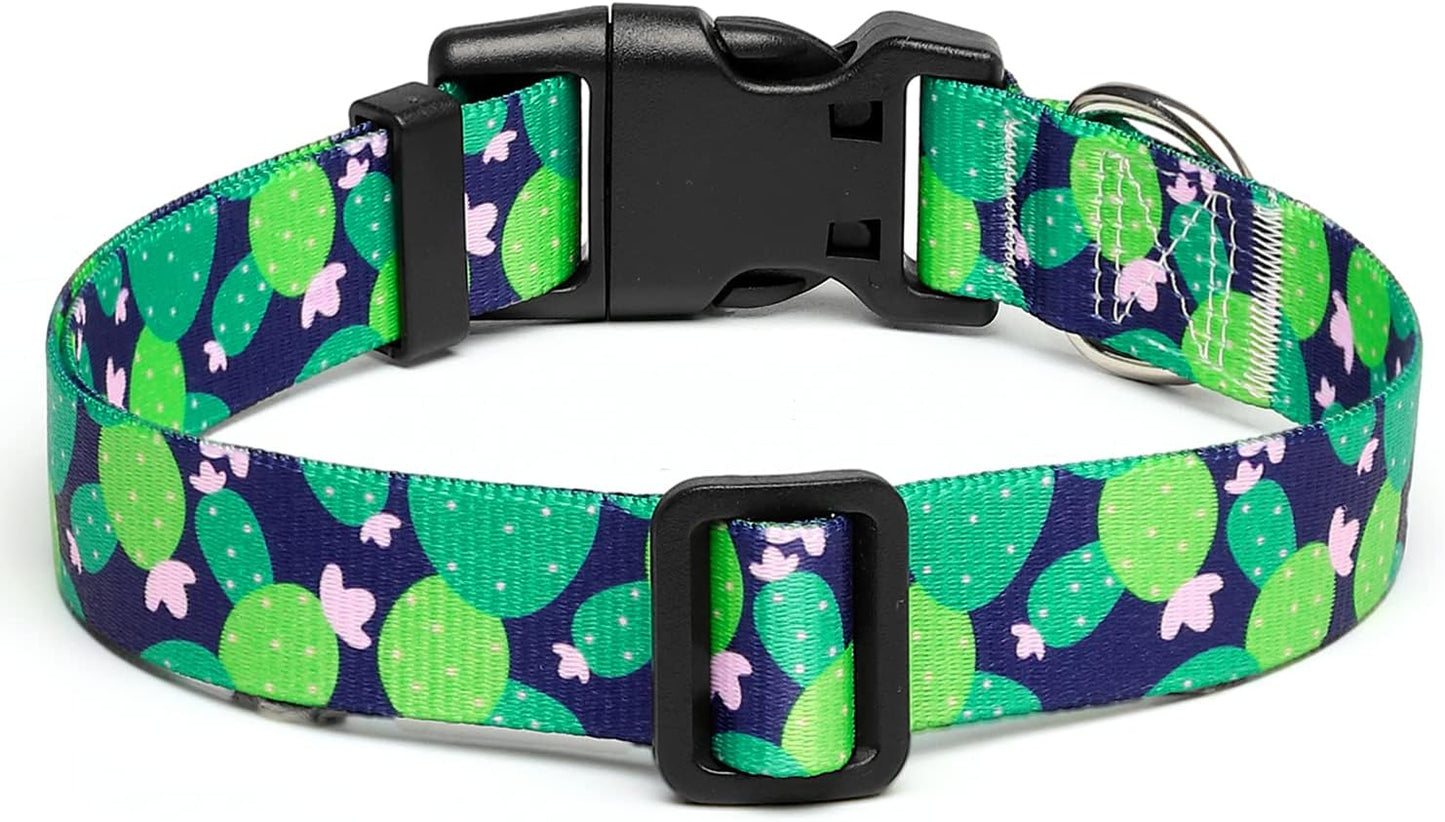 Mercano Adjustable Dog Collar - Special Design Patterns, Soft Nylon Comfortable Durable Pet Collar for Small Medium Large Dogs (XS, Cactus)